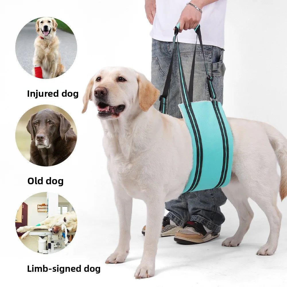ComfortLift Rear Support Sling for Dogs