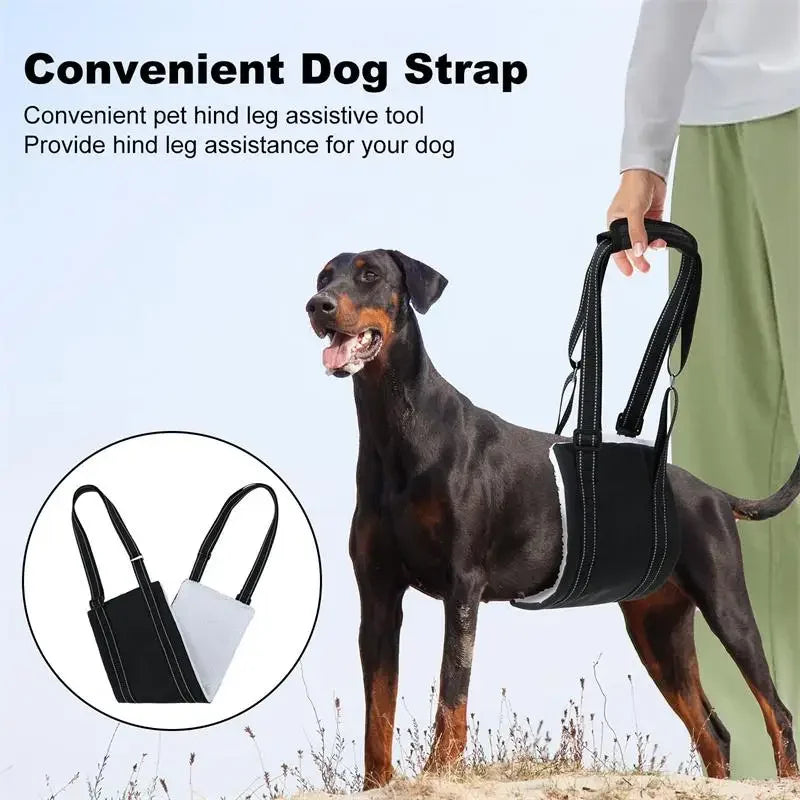 ComfortLift Rear Support Sling for Dogs