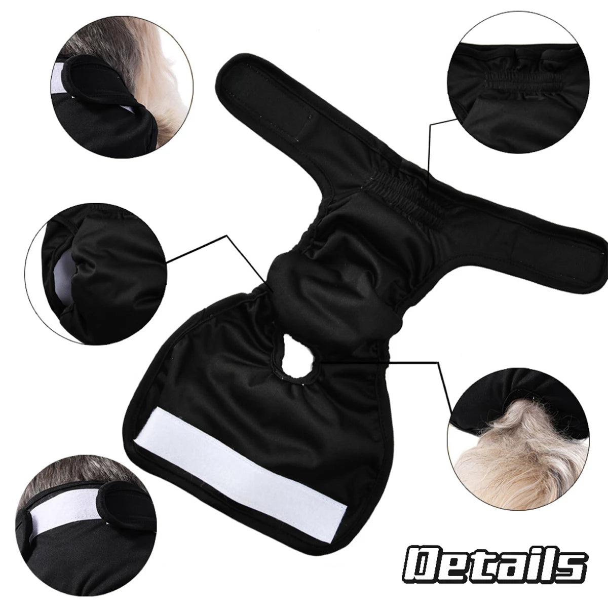 Washable Dog Hygiene Diaper – Reusable Leak Protection
